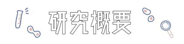 研究概要テスト